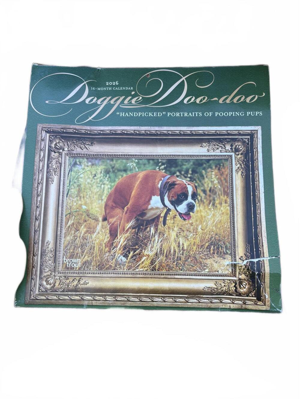 Doggie Doo-doo 2026 Wall Calendar Funny Pooping Dogs Humor Novelty New